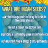 Brass Roots Organic Incan Protein Seeds - Salted - 10 oz, High Protein, School Safe, Nut Free, High Omega 3, Supports Gut Health, Good Source of Fiber, Shark Tank (10 oz (Pack of 1), Salted) view 3