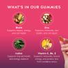 Biotin Gummies for Hair, Skin & Nails. 5,000 mcg High Potency Vegan Vitamins for Faster Hair Growth, Stronger Nails & Healthy Skin. with Vitamins C & E, 30 Gummies view 3