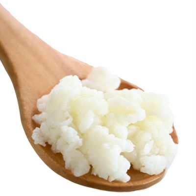 1 TBSP Live Kefir Grains, Make Your Own Kefir Easily, Starter Culture, Natural Probiotics, Pajaritos Bulgaros de Leche
