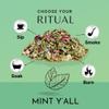 Herbal Blend for Smoke and Tea - Smoke & Brew Mint Ya'll for Refershing Focus - Peppermint, Spearmint and Rose Petal - Organic and Wildcrafted Herbs (1oz Bag) view 2