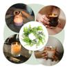 Alipis 6pcs Realistic Simulated Eucalyptus Leaves Greenery Candle Ring Wreath for Aesthetic Room Decor view 4