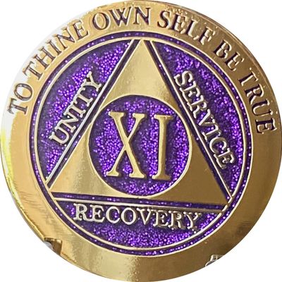 11 Year AA Medallion Elegant Purple Glitter Gold Silver Sobriety Chip Serenity Prayer Back