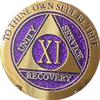 11 Year AA Medallion Elegant Purple Glitter Gold Silver Sobriety Chip Serenity Prayer Back view 1