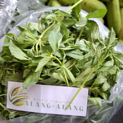 Daun Kemangi - Ocimum basilicum Dried Leaf (80 Gram)