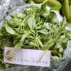 Daun Kemangi - Ocimum basilicum Dried Leaf (80 Gram) view 1