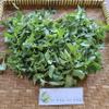 Daun Kemangi - Ocimum basilicum Dried Leaf (80 Gram) view 3