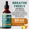 5-in-1 Mullein Drops for Bronchial and Respiratory Support with Mullen Leaf Extract Lung Supplement - Mullein Tincture with Elderberry and Ginger Root, Honey Lemon Flavor (60 Servings, Pack of 2) view 2