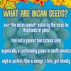 Brass Roots Organic Incan Protein Seeds - Dark Chocolate Coated 12 oz - 1 Pack, High Protein, School Safe, Nut Free, High Omega 3, Supports Gut Health, Good Source of Fiber, Shark Tank view 3