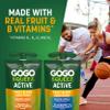GoGo squeeZ No Sugar Added Active Fruit Blend Energy | 18-Count Variety Pack | Tropical Fruit Punch and Blueberry & Pomegranate | Made with Real Fruit and B Vitamins view 2