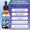 2 Pack Raw Moringa Liquid Drops 8000 mg, Organic Moringa Oleifera Leaf Extract w. Supergreens Wheatgrass, Barley Grass for Antioxidant, Energy & Immune, High Potency Than Capsules Powder view 3