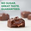 RUSSELL STOVER Sugar Free Assorted Caramels in Chocolate Candy, 15.3 oz. bag view 4
