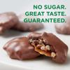 RUSSELL STOVER Sugar Free Pecan Delight Chocolate Candy, 15.5 oz. bag view 3