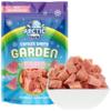 Arctic Farms Garden Pure Freeze Dried Watermelon Fruit, No Sugar Added, Crunchy Snack (Watermelon) view 1