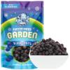 Arctic Farms Garden Pure Freeze Dried Blueberries Fruits, No Sugar Added, Crunchy Snacks (Blueberry) view 1