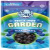 Arctic Farms Garden Pure Freeze Dried Blueberries Fruits, No Sugar Added, Crunchy Snacks (Blueberry) view 2