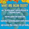 Brass Roots Organic Incan Protein Seeds - 10 oz - Spicy Bundle, High Protein, School Safe, Nut Free, High Omega 3, Supports Gut Health, Good Source of Fiber, Shark Tank view 2