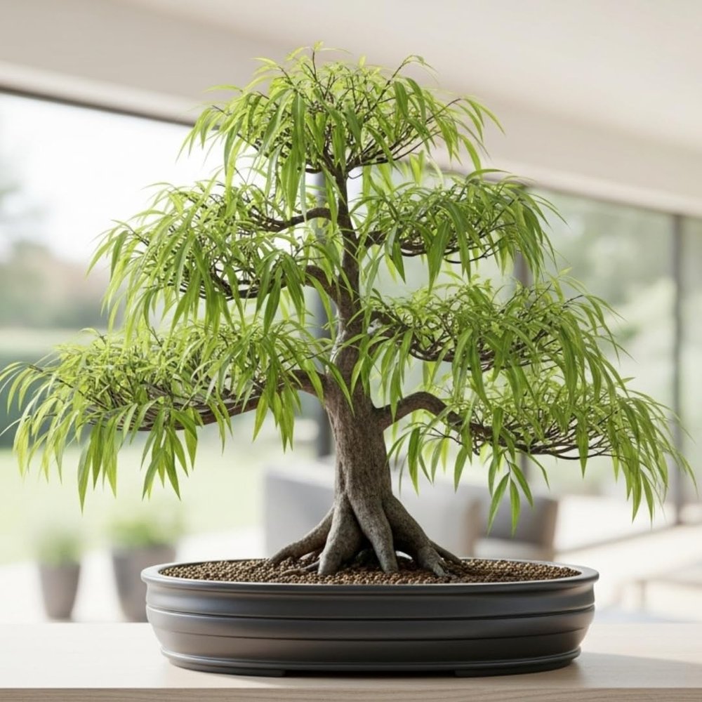 Abbys Willow Bonsai Forest 5 Willow Cuttings Easy-to-Grow, Miniature Trees for Indoor or Outdoor Gardens
