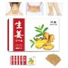 (120pcs) Ginger Patch for Muscle & Joint Relief - Natural Heat Therapy for Back, Neck, and Joint Discomfort - Long-Lasting,Ginger & Mugwort Patches for Targeted Comfort,10Hour Long Lasting Relief view 1
