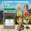 Chia Seeds Fiber & Protein Perfect for Smoothies, Oatmeal, Pudding, and Baking 48 oz Jar view 3
