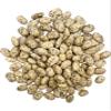 CLEAR CREEK Certified Glyphosate Residue Free Pinto Beans | 18 lbs | North American Grown | Non-GMO | Kosher view 1