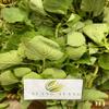 Daun Torbangun - Coleus amboinicus Lour Dried Leaf (450 Gram) view 1