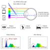 LifeArt 5 Pairs Blue Light Blocking Glasses, Computer Eyeglasses for Women Men, Clear Lens Lightweight Rectangle Frame(5 Red, +0.75 Magnification) view 3