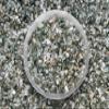 Green Prehnite-Large Chips Natural Mini Green Prehnite-Large Stones, Crushed Undrilled Green Prehnite-Large, Semi-Tumbled Genuine Green Prehnite-Large (3 lbs Bulk) view 4