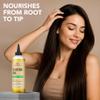 Botanic Hearth Hair Oil for Hair Growth & Home Hair Perm Kit | Strengthening Dry, Frizzy, Damaged Hair & Scalp Treatment | Castor Hair Oil  6.7 Fl Oz view 3