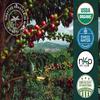 Artizan Coffee Decaf Organic Swiss Water Espresso Pods for Nespresso Original | Timor Decaf Single Origin | 20 Home Compostable Capsules view 4