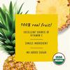 Golden Farms Pineapple Pouches, Single Ingredient Healthy Snacks, 100% Pure Fruit, No Added Sugar, Vegan, Gluten-Free, Kosher, Organic Squeeze Pouch 3.17oz Each view 4