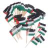 Hoement 100pcs Palestine Mini Flags Sticks Toothpick Flags for Cake Party Desserts Decorations view 1