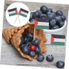Hoement 100pcs Palestine Mini Flags Sticks Toothpick Flags for Cake Party Desserts Decorations view 3