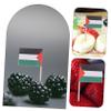 Hoement 100pcs Palestine Mini Flags Sticks Toothpick Flags for Cake Party Desserts Decorations view 4