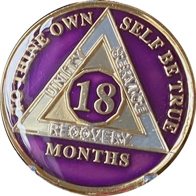 18 Month AA Medallion Purple Gold Plated Tri-Plate Sobriety Chip Serenity Prayer Back