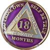 18 Month AA Medallion Purple Gold Plated Tri-Plate Sobriety Chip Serenity Prayer Back view 1