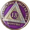18 Month AA Medallion Purple Gold Plated Tri-Plate Sobriety Chip Serenity Prayer Back view 3