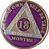 18 Month AA Medallion Purple Gold Plated Tri-Plate Sobriety Chip Serenity Prayer Back view 4