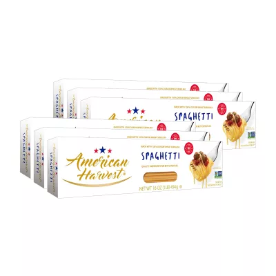 AMERICAN HARVEST, Spaghetti Pasta, Enriched with Vitamins, 16 oz (20 Pack) | Made in America, Non-GMO Semolina, Classic Al Dente Texture | 100 Years of Pasta Craftsmanship