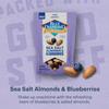 Blue Diamond Almonds, Premium Sea Salt and Blueberries Snack Nuts Perfect Snack Mix with Protein and Fiber, 7 Ounce (Pack of 1) view 2