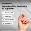 Lactobacillus Salivarius Probiotic 30 Billion CFU 240 Vegan Tablets 80-Day Supply Oral & Digestive Health Non-GMO GMP Certified Gluten Free (240, Lactobacillus Salivarius) view 3