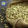 Fus Light 100% Genuine Grade 1 Jamaican Blue Mountain Green Coffee Beans Unroasted Arabica Typica - Premium Quality, JACRA Certified and Sourced from Jamaicas Finest Coffee Estates - 33LB Barrel view 2