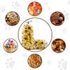 60 PCS Plastic Dog Paw Cellophane Treat bags with Ties Goodie Candy Cookie Goody Gift Bags Pouches Clear Baby Shower Pet Puppy Birthday Party Decorations Favors Supplies Wrapping Stuffers(5x11) view 3