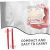 LALADEFIEE 8pcs Denture Cleaning Brush Double Headed Toothbrush for Dentures Brushes Soft Bristles view 3