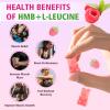 MEENCCD HMB and L-Leucine Gummies, HMB and Leucine Amino Acid for Muscle Growth, Muscle Maintenance, and Muscle Comfort, for Men & Women, Sugar-Free, Raspberry Flavor, 60 Count view 3