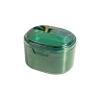 UYVEIS Leak Proof Denture Cup Cleaning Storage 2 in 1, Retainer Bath for Full Dentures Layered Storage with Drain Basket Denture Case Bathroom(Green) view 1
