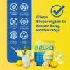 Baloo Electrolytes Powder Packets - No Added Sugar - Hydration Packets with Real Fruit & Unrefined Sea Salt - Powered by Magnesium, Potassium & VIT C for Daily Clean Hydration - Lemon - 30ct view 4