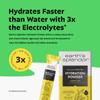 Earth's Splendor Electrolytes Powder Packets Lemon Lime Hydration Drink Mix Sticks with Essential Vitamins for Energy & Sports Performance | Travel-Friendly Single-Serve Packets for Daily Use 10 Pack view 3