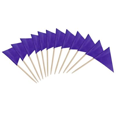 100 Pcs Solid Blank Triangle Toothpick Flag, Mini Blank Toothpick Flag Cupcake Toppers, DIY Decoration Markers (Purple)