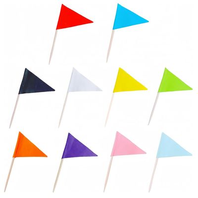 100 Pcs Solid Blank Triangle Toothpick Flag, Mini Blank Toothpick Flag Cupcake Toppers, DIY Decoration Markers (Multicolor)