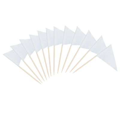 100 Pcs Solid Blank Triangle Toothpick Flag, Mini Blank Toothpick Flag Cupcake Toppers, DIY Decoration Markers (White)